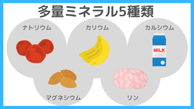 【管理栄養士が解説】ミネラルとは?13種類の働きと摂取のコツを分かりやすく | エイヨーブック